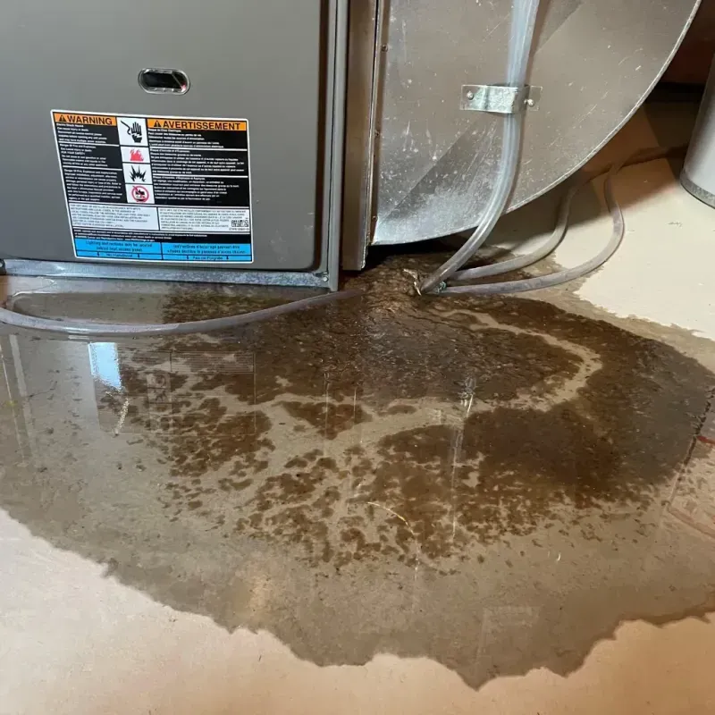 Appliance Leak Cleanup in Oakwood Hills, IL